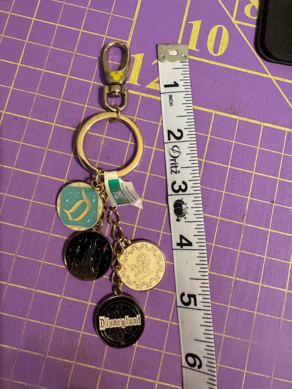 NWT Disney Resort Multicolor Double Sided Coin Purse Charm Keychain - Picture 3 of 3